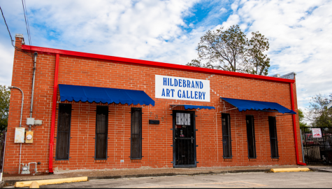 Discovering Texas Artists