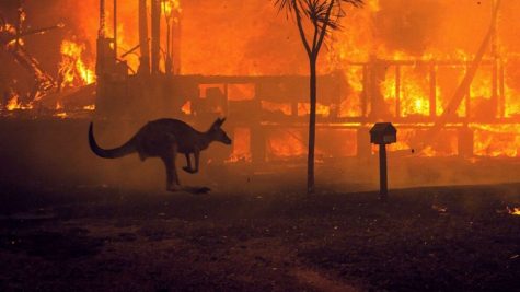 Australian Fires Ignite Climate Activism