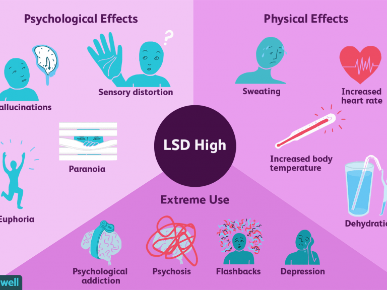 The Effects Of Lsd On The Brain The Keynote