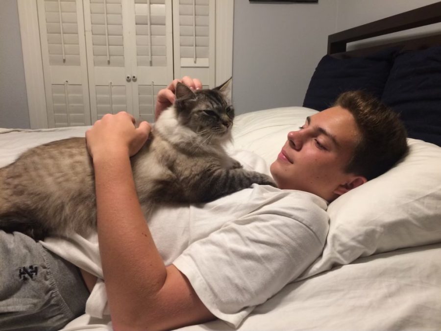 Marshall+_+His+Cat
