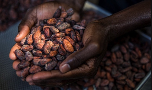 The Hidden Slavery in the Chocolate Industry