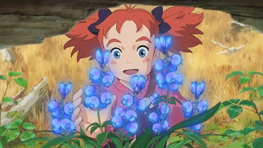 Analysis of Mary and the Witch’s Flower