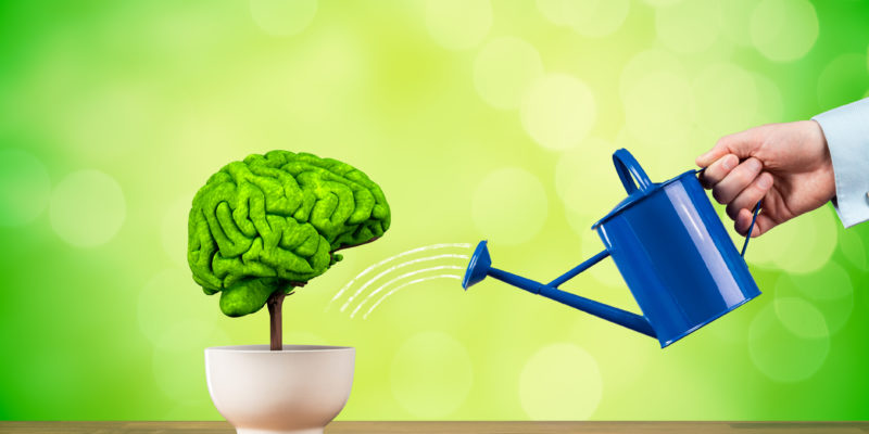 Image from Neurology Center For Epilepsy & Seizures.